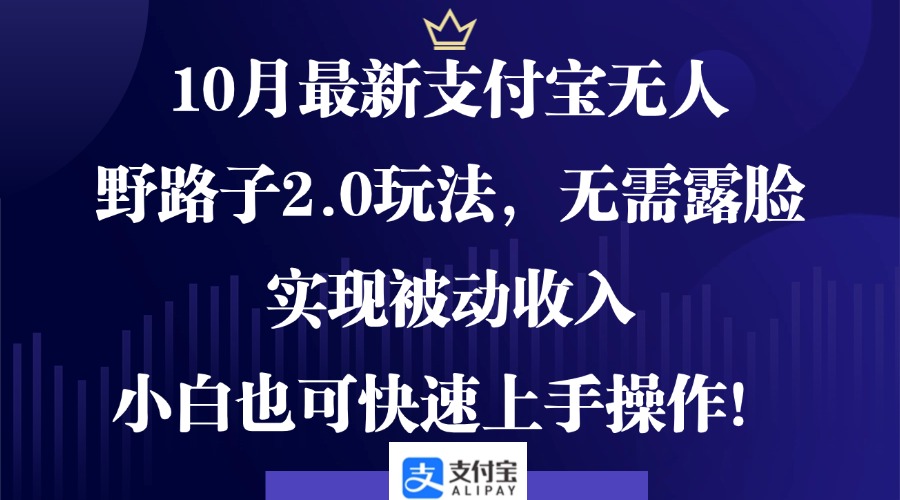 0月最新支付宝无人野路子2.0玩法，无需露脸，实现被动收入，小白也可…-一百创业网