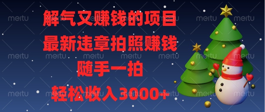 解气又赚钱的项目，最新违章拍照赚钱，随手一拍，轻松收入3000+-一百创业网