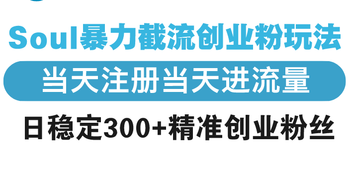 Soul暴力截流创业粉玩法，当天注册当天进流量，日稳定300+精准创业粉丝-一百创业网