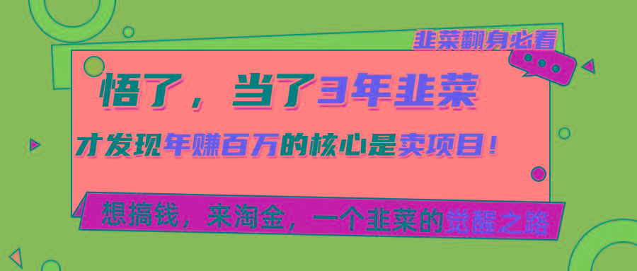 悟了，当了3年韭菜，才发现网赚圈年赚100万的核心是卖项目，含泪分享！-一百创业网