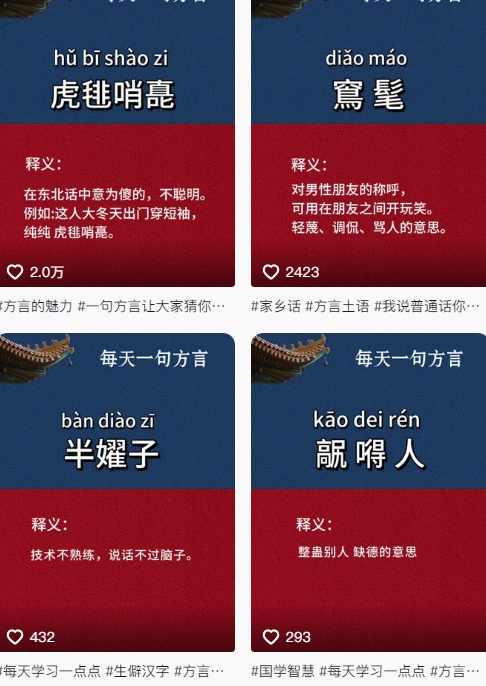 抖音最新涨粉玩法，图文方言暴力涨粉实操，126作品涨粉11W-一百创业网