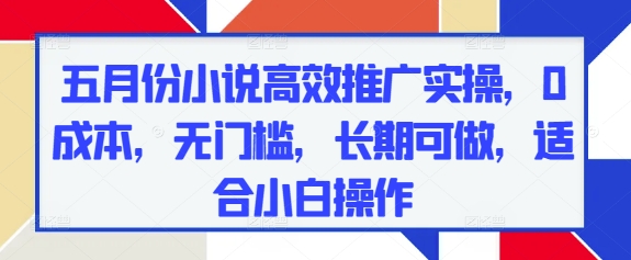 五月份小说高效推广实操，0成本，无门槛，长期可做，适合小白操作-一百创业网