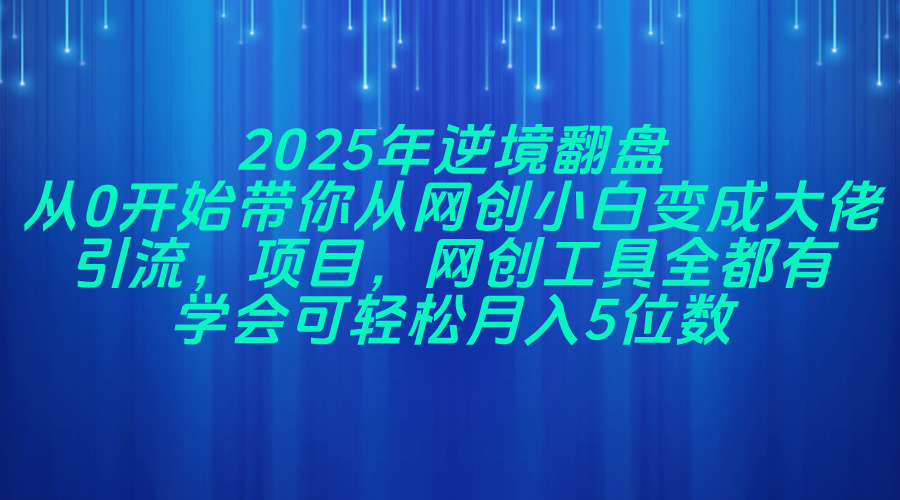 2025年逆境翻盘，从0开始带你从网创小白变成大佬，引流，项目，网创工…-一百创业网