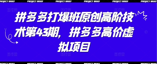 拼多多打爆班原创高阶技术第43期，拼多多高价虚拟项目-一百创业网