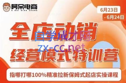 阿呆电商·全店动销经营模式特训营(线下录音+思维导图)-一百创业网