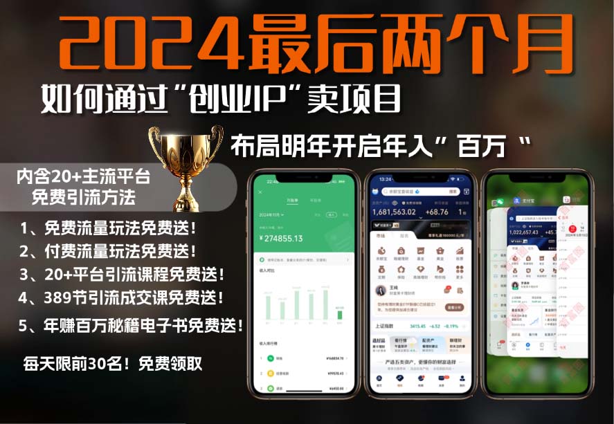 2024最后两个月如何通过”创业IP“卖项目年入”百万“,创业IP+最强引流…-一百创业网