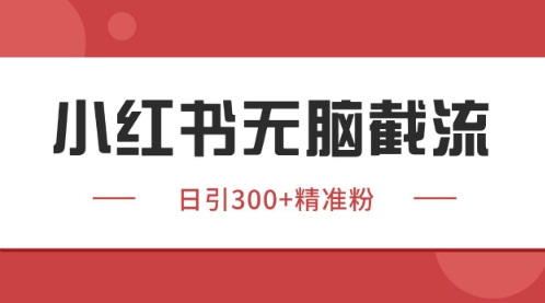 小红书只要你有同行就能获客，独家野路子获客玩法，暴力截流【揭秘】-一百创业网