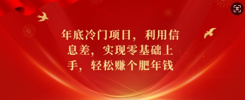 年底冷门项目，利用信息差，实现零基础上手，轻松赚个肥年钱【揭秘】-一百创业网