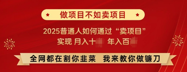 必看，做项目不如卖项目，2025普通人如何通过“卖项目”实现月入十个，年入百个-一百创业网