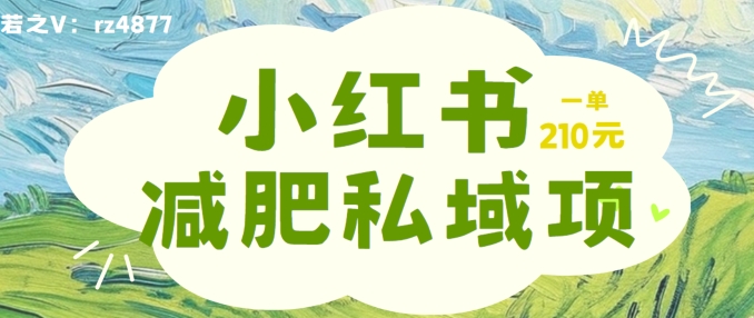 小红书减肥粉，私域变现项目，一单就达210元，小白也能轻松上手【揭秘】-一百创业网