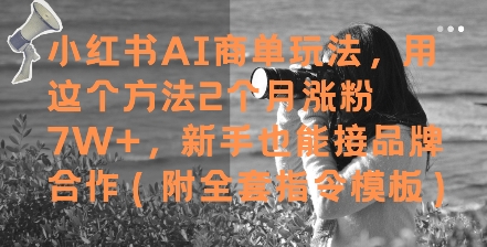 小红书AI商单玩法，用这个方法2个月涨粉7W+，新手也能接品牌合作(附全套指令模板)-一百创业网