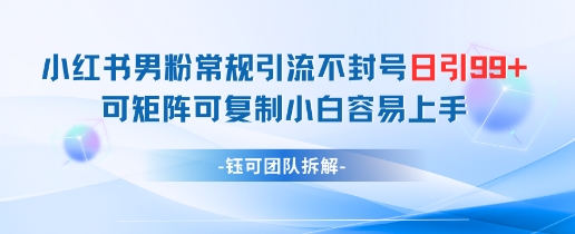 小红书男粉常规引流不封号日引99+变现简单 可矩阵可复制小白容易上手-一百创业网