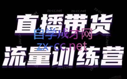 婉婉·直播带货课程系列合集(更新8月)-一百创业网