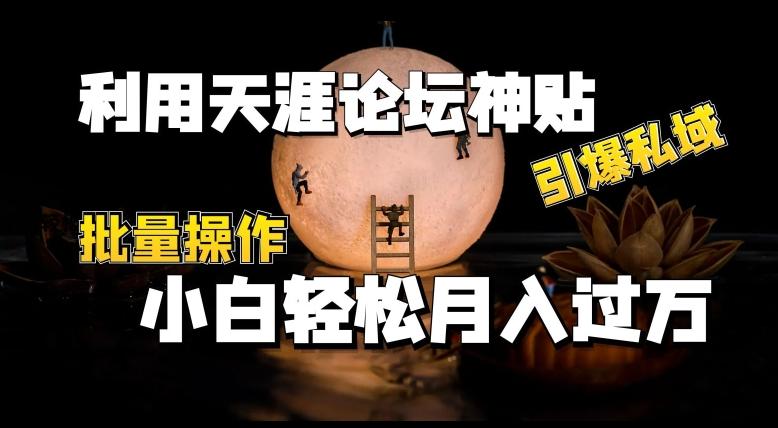 利用天涯论坛神贴，引爆私域，批量操作，小白轻松月入过w【揭秘】-一百创业网