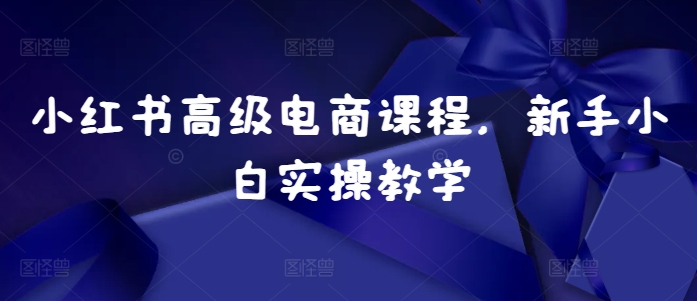 小红书高级电商课程，新手小白实操教学-一百创业网
