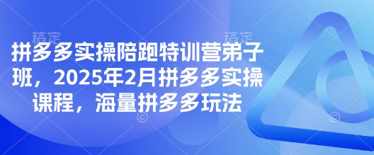 拼多多实操陪跑特训营弟子班，2025年2月拼多多实操课程，海量拼多多玩法-一百创业网