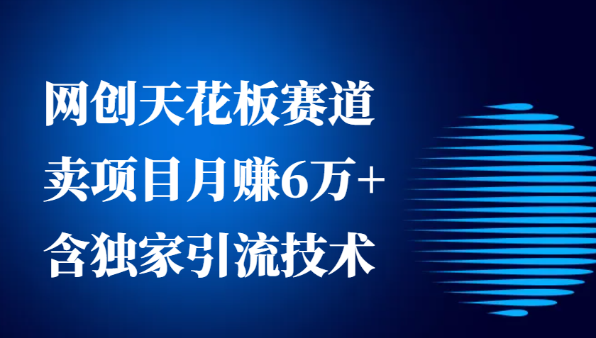 网创天花板赛道，卖项目月赚6万+，含独家引流技术(共26节课)-一百创业网