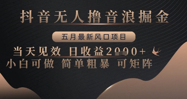 抖音无人撸音浪掘金，五月最新风口项目，当天见效，日收益多张，小白可做简单粗暴可矩阵【揭秘】-一百创业网