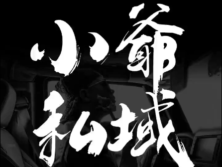 小爷·私域项目操盘手-一百创业网