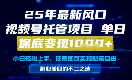 25年最新风口，视频号托管项目，单日保底变现1k+，手把手教学【揭秘】-一百创业网
