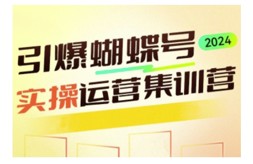 引爆蝴蝶号实操运营，助力你深度掌握蝴蝶号运营，实现高效实操，开启流量变现之路-一百创业网