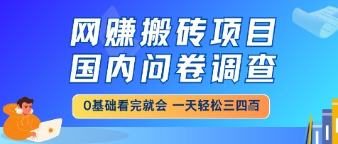 网创搬砖项目，国内问卷调查，小白轻松上手，一天三四张的也不难，干就完了【揭秘】-一百创业网