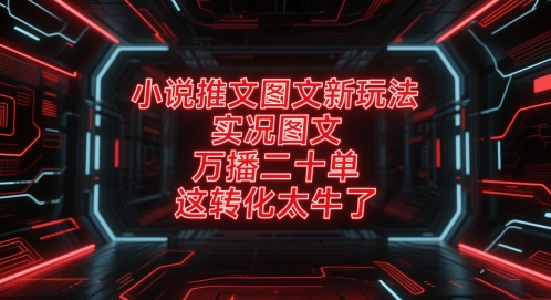 小说推文图文新玩法，实况图文，万播二十单，这转化太牛了！-一百创业网