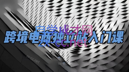 团长·跨境电商独立站入门课(2小时精华)-一百创业网