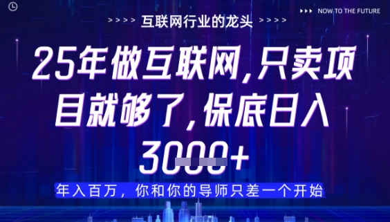 什么！25年你还在找项目做？风口早就变了，卖项目才是稳挣不赔【揭秘】-一百创业网