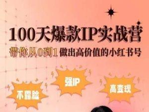 小红书100天爆款IP实战营，带你从0到1做出高价值的小红书号-一百创业网