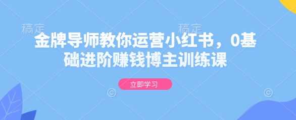 金牌导师教你运营小红书，0基础进阶赚钱博主训练课-一百创业网