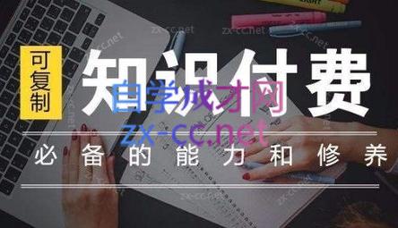 君哥·IP合伙人知识付费虚拟项目(更新24年6月)-一百创业网