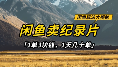 闲鱼卖纪录片1单3块钱，1天几十单，项目稳定有潜力-一百创业网