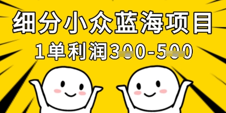 细分小众蓝海项目，一单利润3张，每月收入稳定过1w+-一百创业网