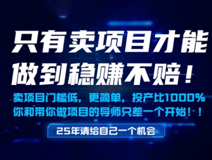 只有卖项目才能做到稳挣不赔，门槛低，更简单，你也可以年入百个W【揭秘】-一百创业网