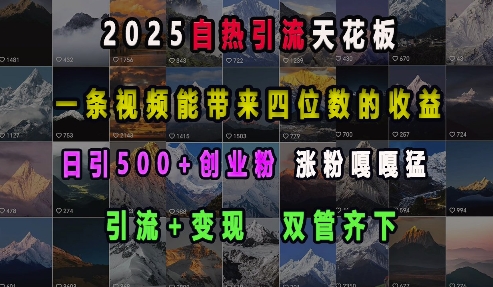 2025自热引流天花板，一条视频能带来四位数的收益，引流+变现双管齐下，日引500+创业粉，涨粉嘎嘎猛-一百创业网