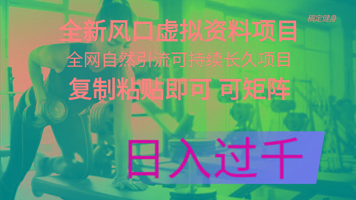 全新风口虚拟资料项目 全网自然引流可持续长久项目 复制粘贴即可可矩阵…-一百创业网