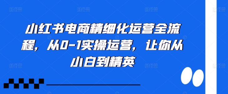 小红书电商精细化运营全流程，从0-1实操运营，让你从小白到精英-一百创业网