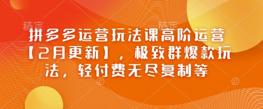 拼多多运营玩法课高阶运营【2月更新】，极致群爆款玩法，轻付费无尽复制等-一百创业网