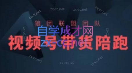 狼团联盟·2024视频号带货-一百创业网