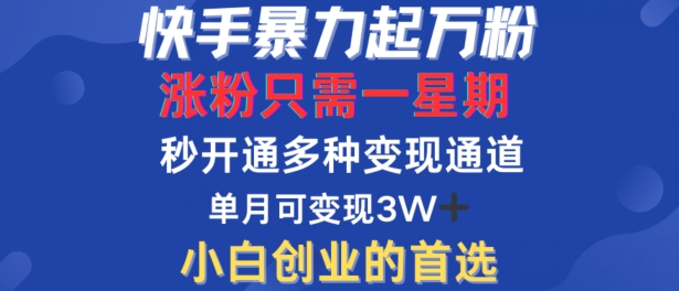 快手暴力起万粉，涨粉只需一星期，多种变现模式，直接秒开万合，单月变现过W【揭秘】-一百创业网