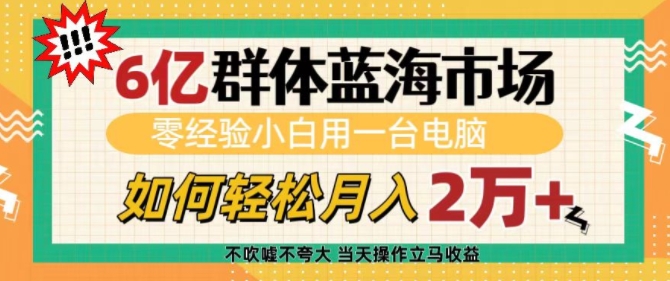6亿群体蓝海市场，零经验小白用一台电脑，如何轻松月入过w【揭秘】-一百创业网