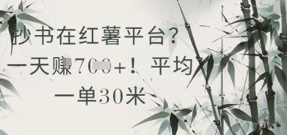 抄书在小红薯平台？平均一单30米，一天收益几张！-一百创业网