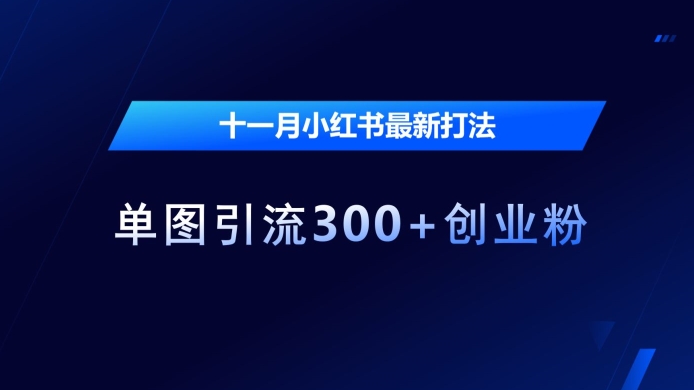 十一月小红书最新打法，单图引流300+创业粉【揭秘】-一百创业网