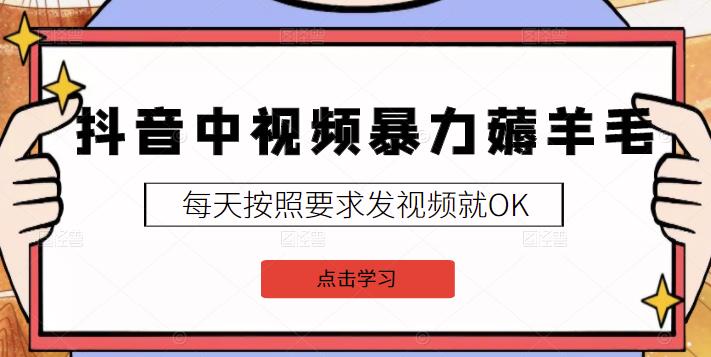 2022抖音中视频暴力薅羊毛白嫖项目：新号每天20块，老号几天几百块，可多号?-一百创业网