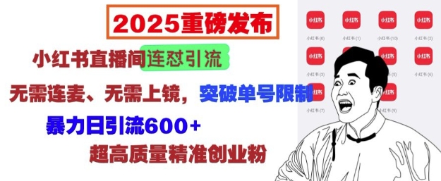 2025重磅发布：小红书直播间连怼引流，无需连麦、无需上镜，突破单号限制，暴力日引流600+-一百创业网