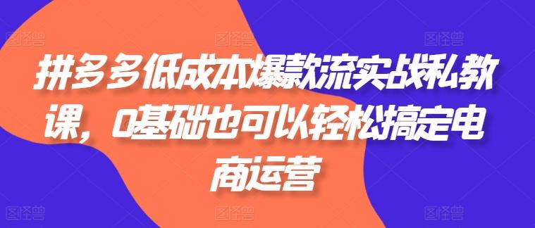 拼多多低成本爆款流实战私教课，0基础也可以轻松搞定电商运营-一百创业网