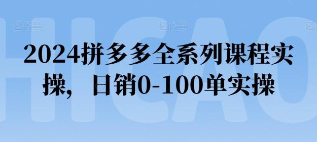 2024拼多多全系列课程实操，日销0-100单实操【必看】-一百创业网