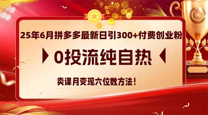 25年6月拼多多最新日引300+付费创业粉，0投流纯自热 卖课月变现六位数方法-一百创业网