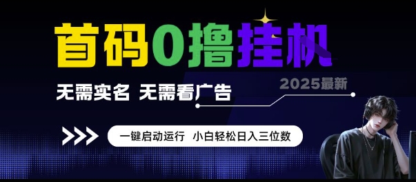 首码0撸挂G项目，无需实名无需看广告 一键启动运行，小白轻松日入三位数【揭秘】-艾客创业网